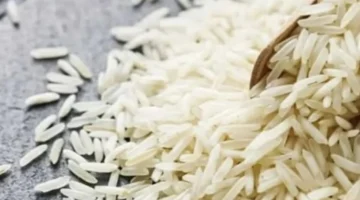 سعر الأرز الشعير في مصر يستقر مع تراجع محدود في ديسمبر 2025 1